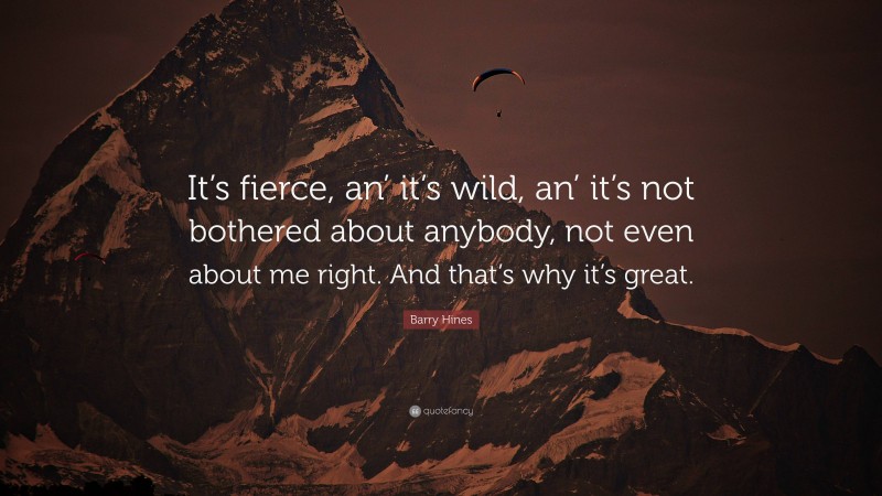Barry Hines Quote: “It’s fierce, an’ it’s wild, an’ it’s not bothered about anybody, not even about me right. And that’s why it’s great.”