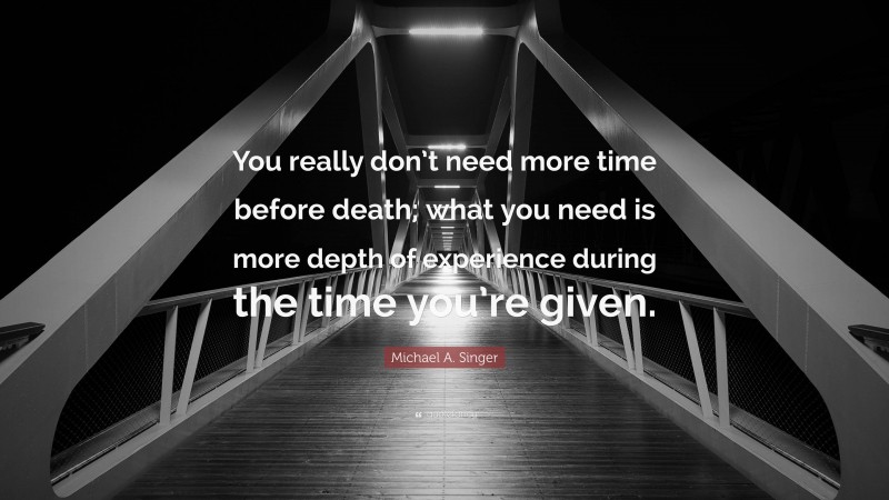 Michael A. Singer Quote: “You really don’t need more time before death; what you need is more depth of experience during the time you’re given.”