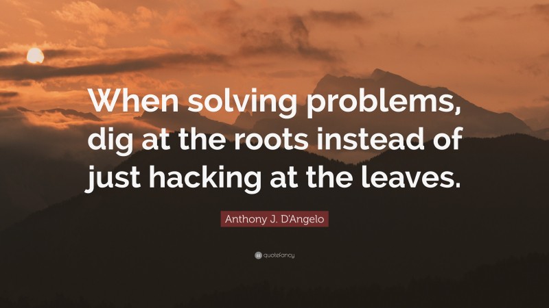 Anthony J. D'Angelo Quote: “When solving problems, dig at the roots instead of just hacking at the leaves.”