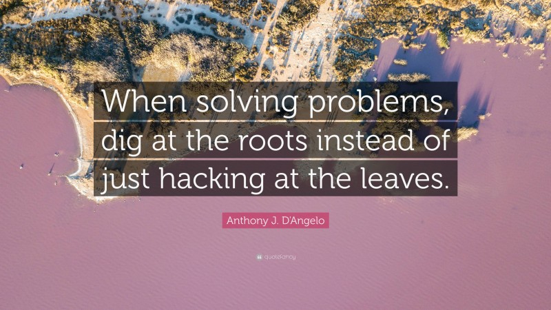 Anthony J. D'Angelo Quote: “When solving problems, dig at the roots instead of just hacking at the leaves.”