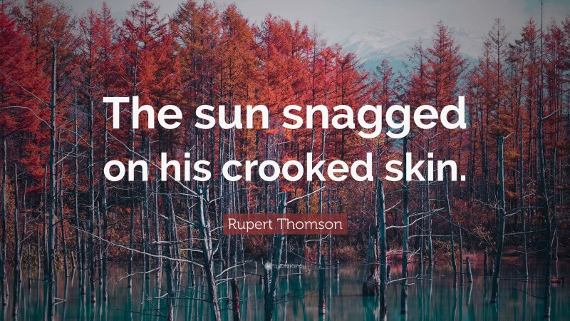 Rupert Thomson Quote: “The sun snagged on his crooked skin.”