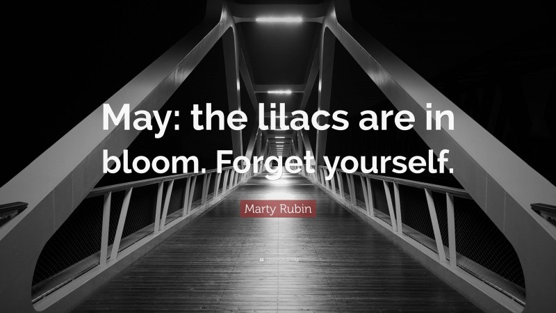 Marty Rubin Quote: “May: the lilacs are in bloom. Forget yourself.”