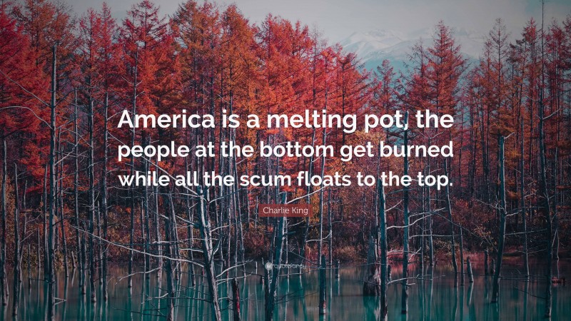Charlie King Quote: “America is a melting pot, the people at the bottom get burned while all the scum floats to the top.”