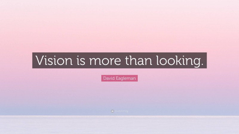 David Eagleman Quote: “Vision is more than looking.”