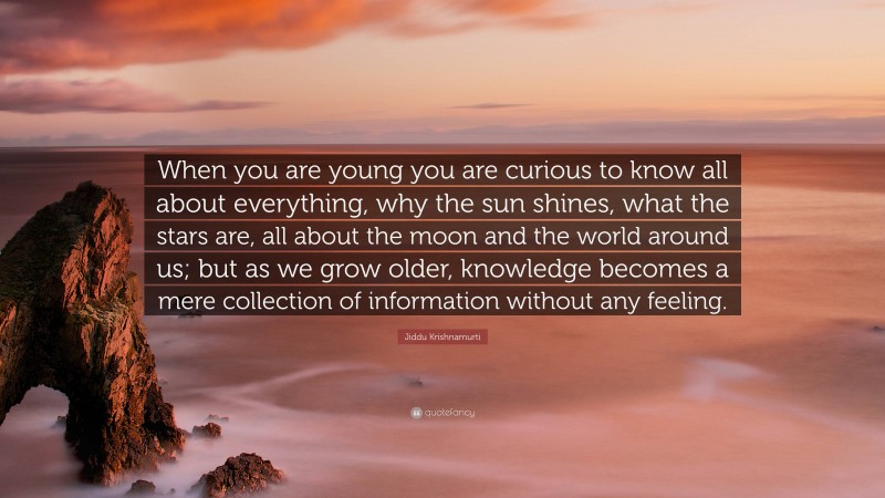 Jiddu Krishnamurti Quote: “When you are young you are curious to know all about everything, why the sun shines, what the stars are, all about the moon and the world around us; but as we grow older, knowledge becomes a mere collection of information without any feeling.”