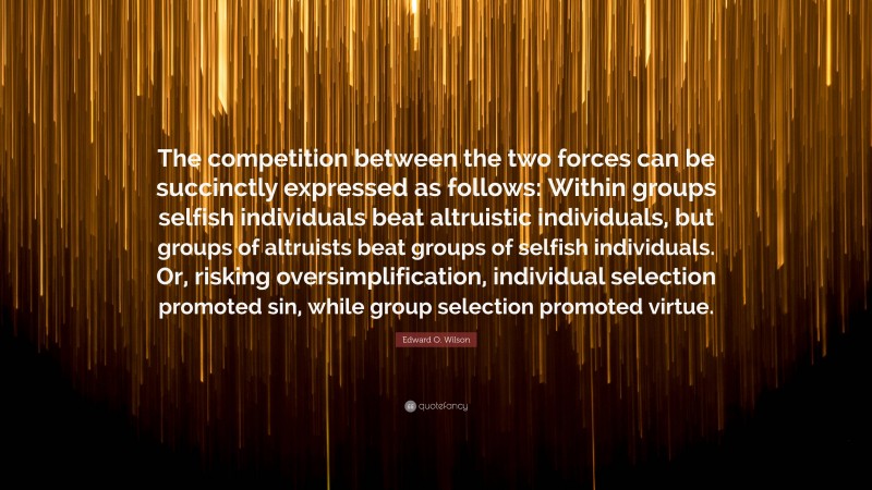 Edward O. Wilson Quote: “The competition between the two forces can be succinctly expressed as follows: Within groups selfish individuals beat altruistic individuals, but groups of altruists beat groups of selfish individuals. Or, risking oversimplification, individual selection promoted sin, while group selection promoted virtue.”