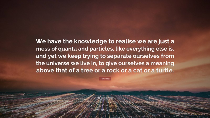 Matt Haig Quote: “We have the knowledge to realise we are just a mess of quanta and particles, like everything else is, and yet we keep trying to separate ourselves from the universe we live in, to give ourselves a meaning above that of a tree or a rock or a cat or a turtle.”