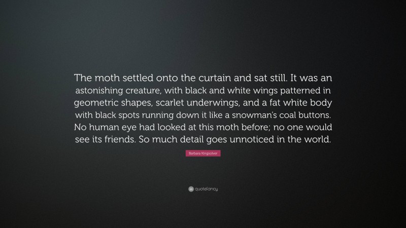 Barbara Kingsolver Quote: “The moth settled onto the curtain and sat still. It was an astonishing creature, with black and white wings patterned in geometric shapes, scarlet underwings, and a fat white body with black spots running down it like a snowman’s coal buttons. No human eye had looked at this moth before; no one would see its friends. So much detail goes unnoticed in the world.”