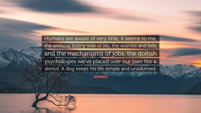 Brad Watson Quote: “Humans are aware of very little, it seems to me, the artificial brainy side of life, the worries and bills and the mechanisms of jobs, the doltish psychologies we’ve placed over our lives like a stencil. A dog keeps his life simple and unadorned.”