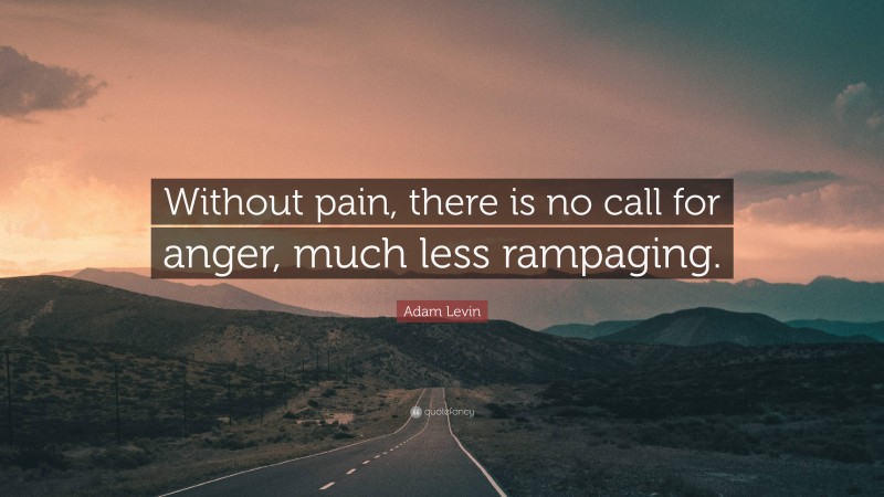 Adam Levin Quote: “Without pain, there is no call for anger, much less rampaging.”