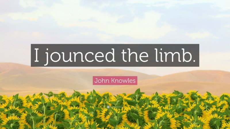 John Knowles Quote: “I jounced the limb.”
