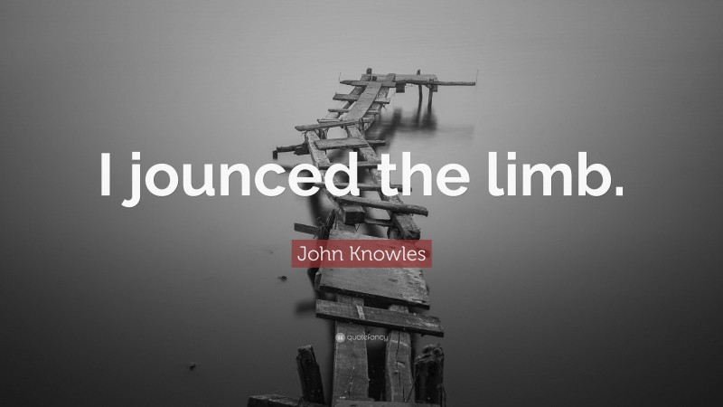 John Knowles Quote: “I jounced the limb.”