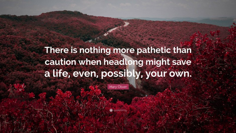 Mary Oliver Quote: “There is nothing more pathetic than caution when headlong might save a life, even, possibly, your own.”