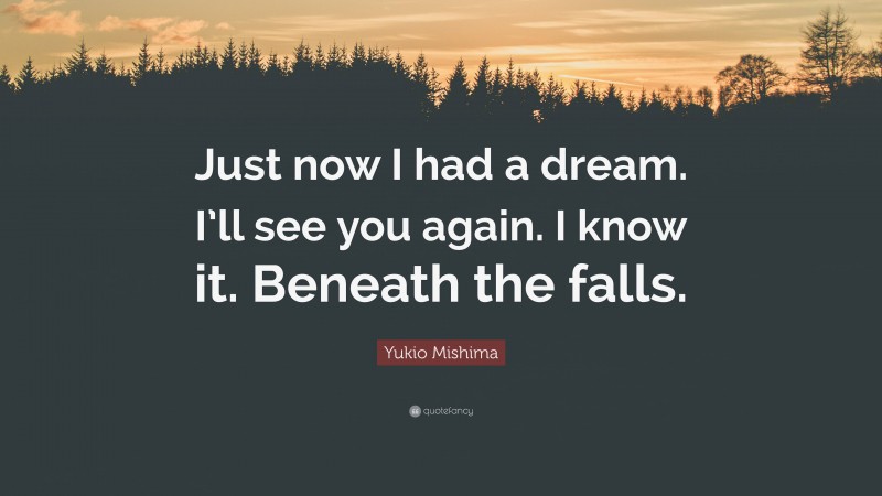 Yukio Mishima Quote: “Just now I had a dream. I’ll see you again. I know it. Beneath the falls.”