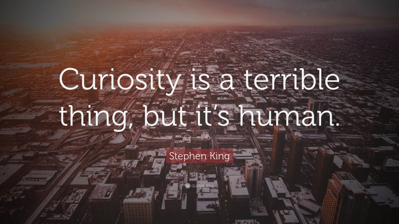 Stephen King Quote: “Curiosity is a terrible thing, but it’s human.”