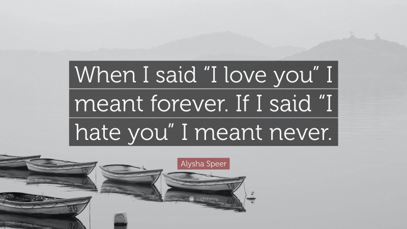 Alysha Speer Quote: “When I said “I love you” I meant forever. If I said “I hate you” I meant never.”