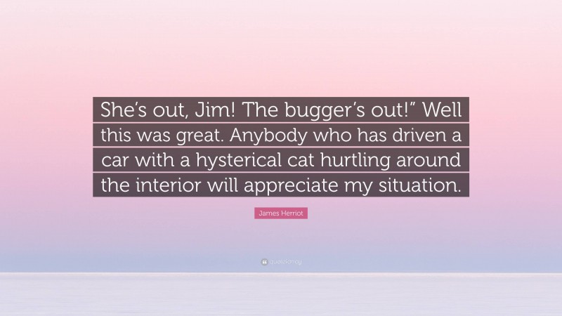 James Herriot Quote: “She’s out, Jim! The bugger’s out!” Well this was great. Anybody who has driven a car with a hysterical cat hurtling around the interior will appreciate my situation.”