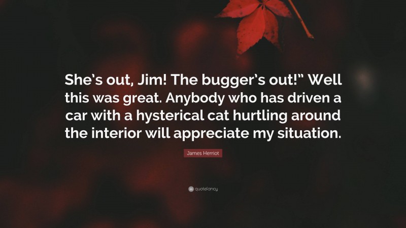 James Herriot Quote: “She’s out, Jim! The bugger’s out!” Well this was great. Anybody who has driven a car with a hysterical cat hurtling around the interior will appreciate my situation.”