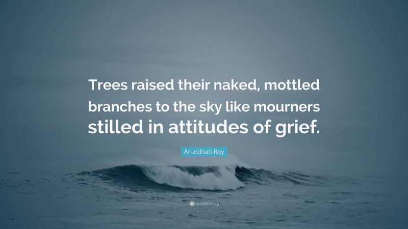 Arundhati Roy Quote: “Trees raised their naked, mottled branches to the sky like mourners stilled in attitudes of grief.”