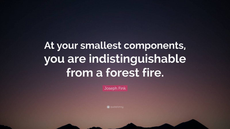 Joseph Fink Quote: “At your smallest components, you are indistinguishable from a forest fire.”