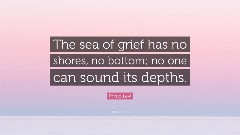 Primo Levi Quote: “The sea of grief has no shores, no bottom; no one can sound its depths.”