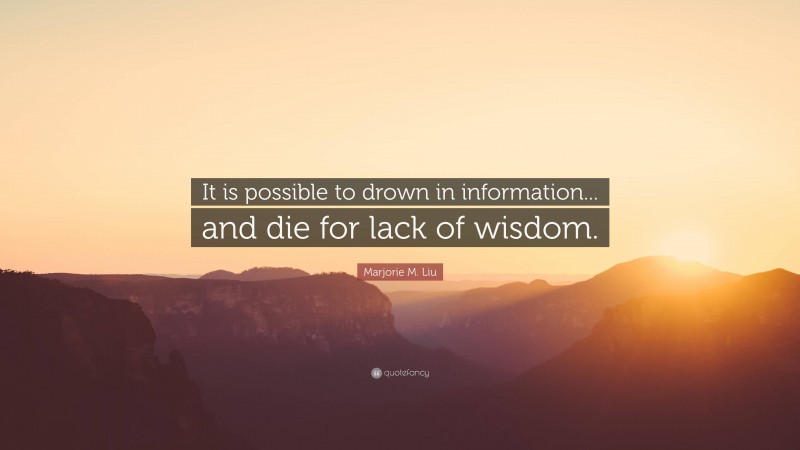 Marjorie M. Liu Quote: “It is possible to drown in information... and die for lack of wisdom.”
