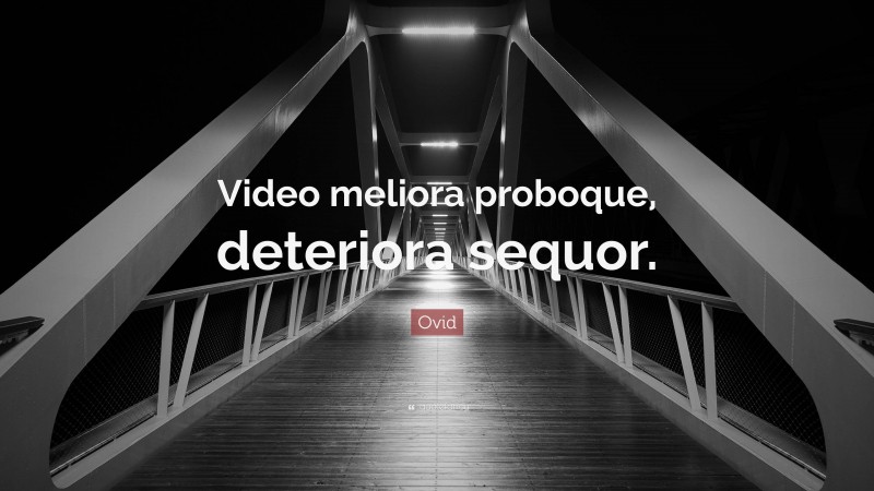 Ovid Quote: “Video meliora proboque, deteriora sequor.”