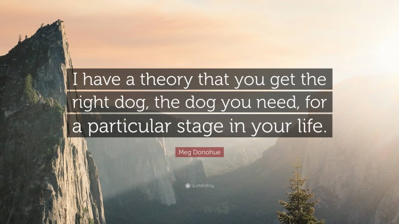 Meg Donohue Quote: “I have a theory that you get the right dog, the dog you need, for a particular stage in your life.”