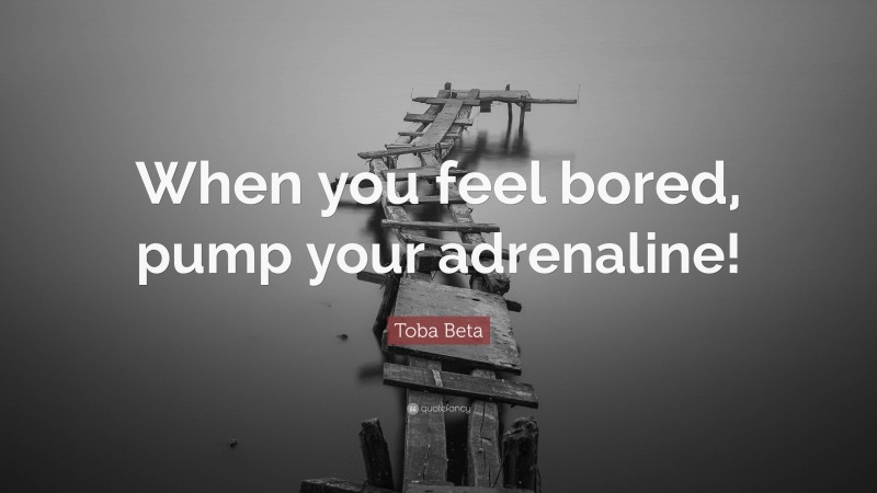 Toba Beta Quote: “When you feel bored, pump your adrenaline!”