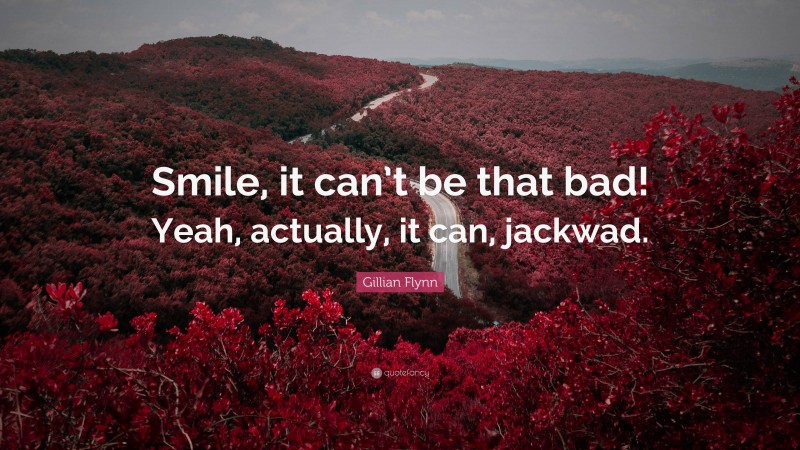 Gillian Flynn Quote: “Smile, it can’t be that bad! Yeah, actually, it can, jackwad.”