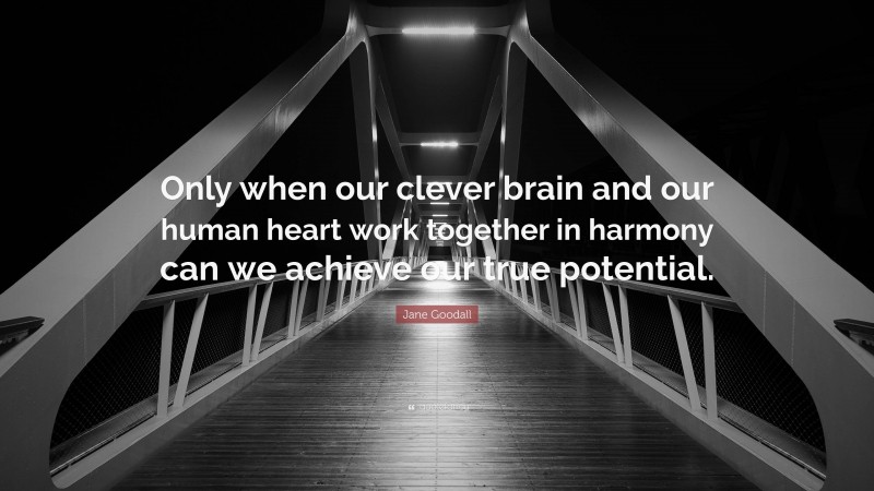 Jane Goodall Quote: “Only when our clever brain and our human heart work together in harmony can we achieve our true potential.”