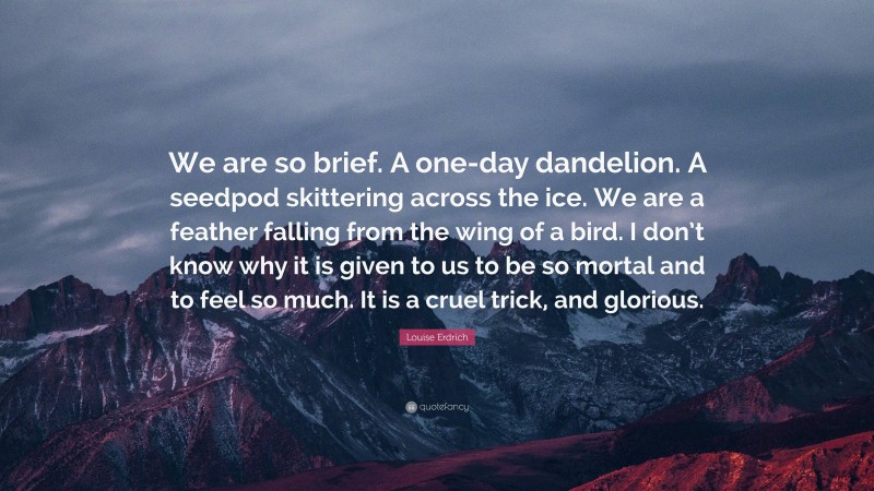 Louise Erdrich Quote: “We are so brief. A one-day dandelion. A seedpod skittering across the ice. We are a feather falling from the wing of a bird. I don’t know why it is given to us to be so mortal and to feel so much. It is a cruel trick, and glorious.”