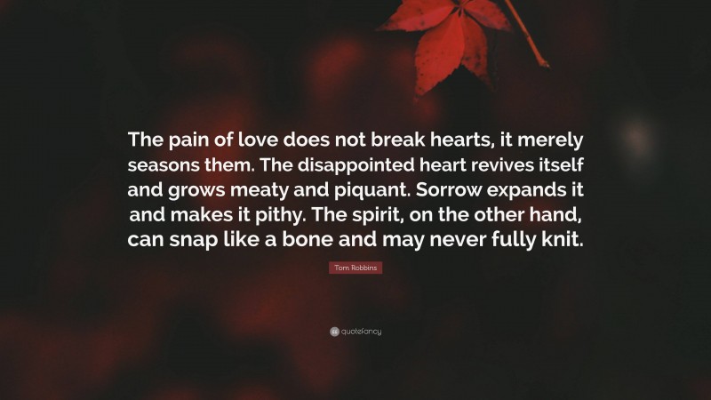 Tom Robbins Quote: “The pain of love does not break hearts, it merely seasons them. The disappointed heart revives itself and grows meaty and piquant. Sorrow expands it and makes it pithy. The spirit, on the other hand, can snap like a bone and may never fully knit.”