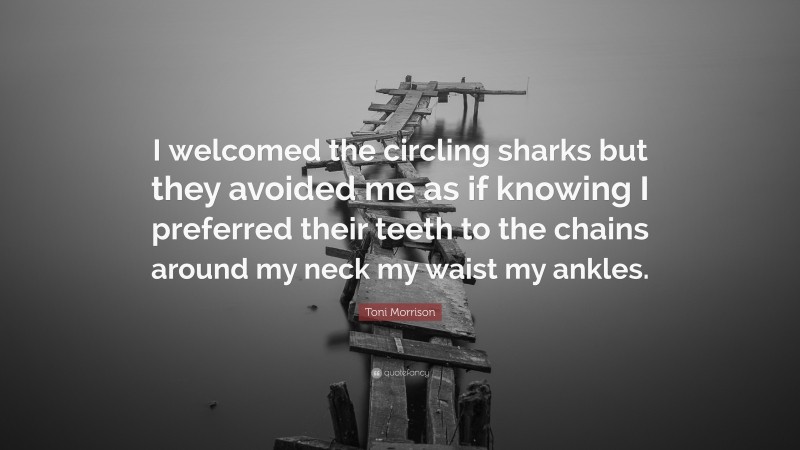 Toni Morrison Quote: “I welcomed the circling sharks but they avoided me as if knowing I preferred their teeth to the chains around my neck my waist my ankles.”