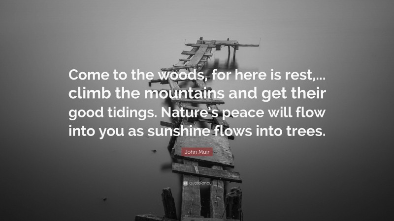 John Muir Quote: “Come to the woods, for here is rest,... climb the mountains and get their good tidings. Nature’s peace will flow into you as sunshine flows into trees.”