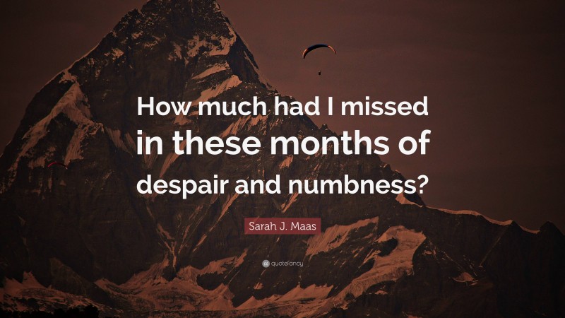 Sarah J. Maas Quote: “How much had I missed in these months of despair and numbness?”
