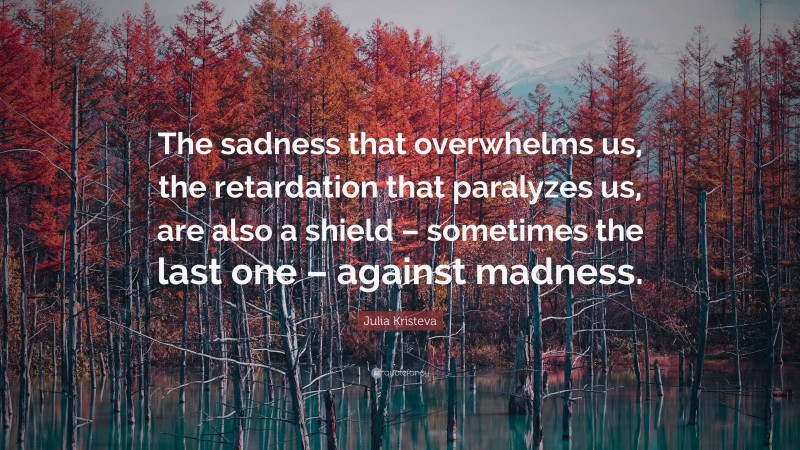 Julia Kristeva Quote: “The sadness that overwhelms us, the retardation that paralyzes us, are also a shield – sometimes the last one – against madness.”