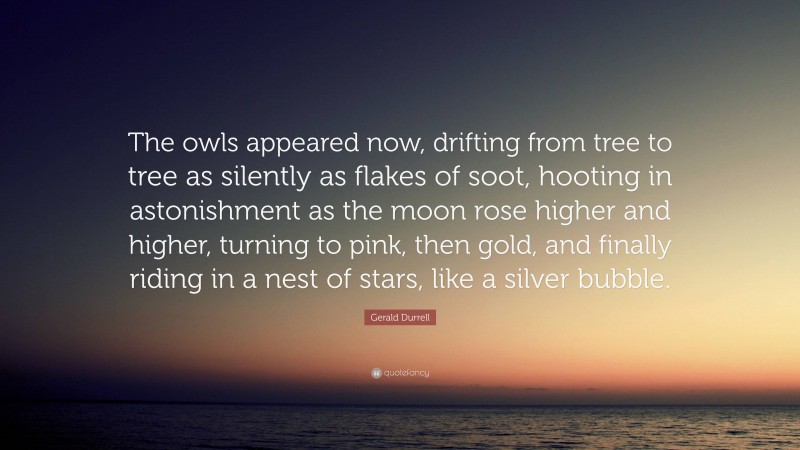 Gerald Durrell Quote: “The owls appeared now, drifting from tree to tree as silently as flakes of soot, hooting in astonishment as the moon rose higher and higher, turning to pink, then gold, and finally riding in a nest of stars, like a silver bubble.”