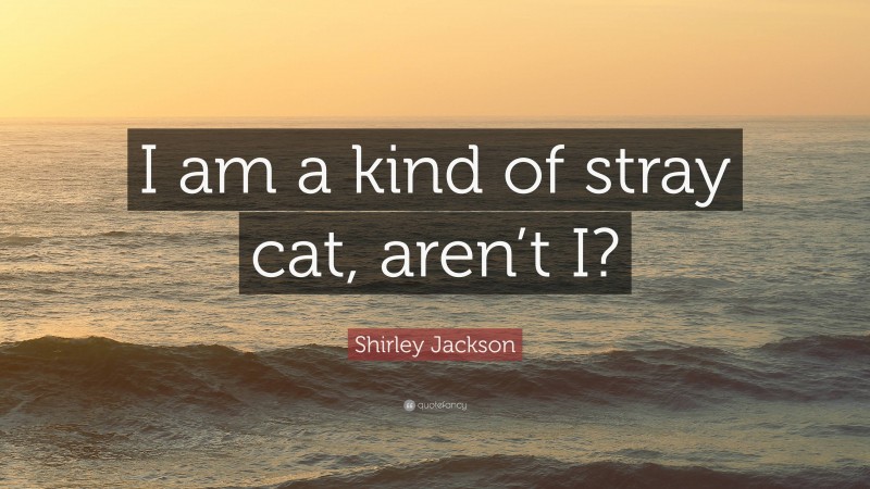 Shirley Jackson Quote: “I am a kind of stray cat, aren’t I?”