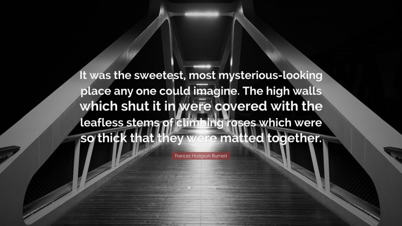 Frances Hodgson Burnett Quote: “It was the sweetest, most mysterious-looking place any one could imagine. The high walls which shut it in were covered with the leafless stems of climbing roses which were so thick that they were matted together.”