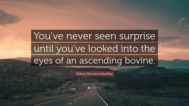 Maria Dahvana Headley Quote: “You’ve never seen surprise until you’ve looked into the eyes of an ascending bovine.”