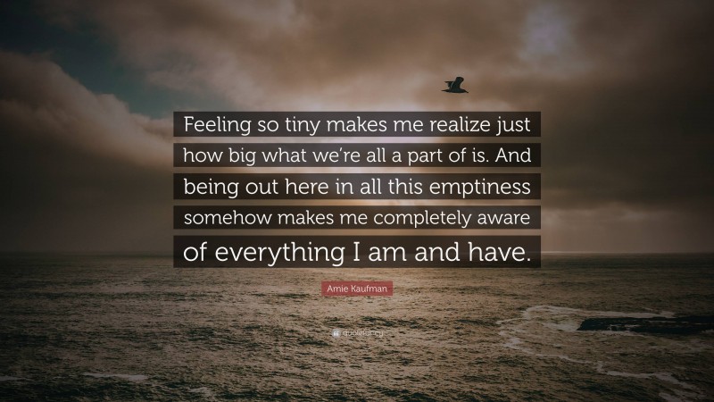 Amie Kaufman Quote: “Feeling so tiny makes me realize just how big what we’re all a part of is. And being out here in all this emptiness somehow makes me completely aware of everything I am and have.”
