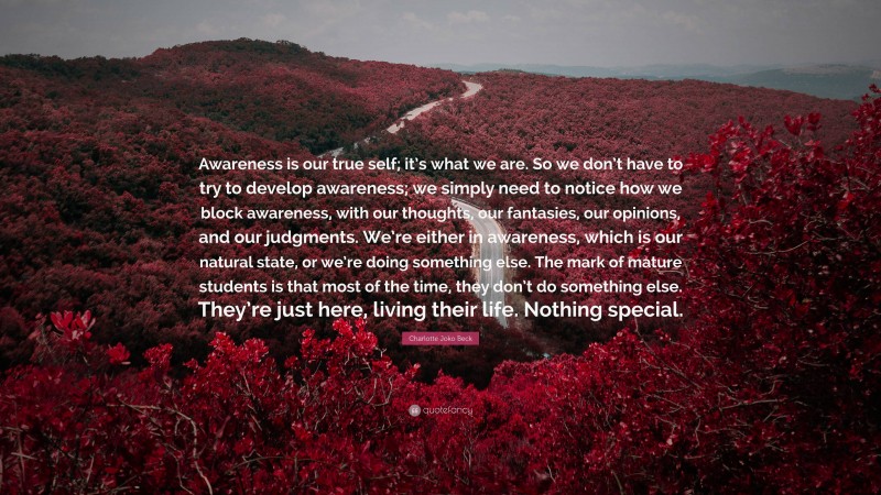 Charlotte Joko Beck Quote: “Awareness is our true self; it’s what we are. So we don’t have to try to develop awareness; we simply need to notice how we block awareness, with our thoughts, our fantasies, our opinions, and our judgments. We’re either in awareness, which is our natural state, or we’re doing something else. The mark of mature students is that most of the time, they don’t do something else. They’re just here, living their life. Nothing special.”