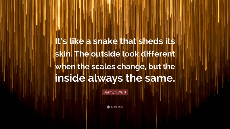 Jesmyn Ward Quote: “It’s like a snake that sheds its skin. The outside look different when the scales change, but the inside always the same.”