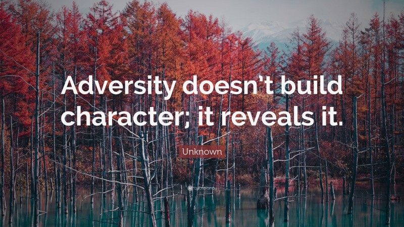 Unknown Quote: “Adversity doesn’t build character; it reveals it.”