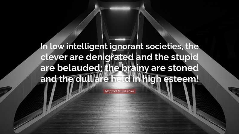 Mehmet Murat ildan Quote: “In low intelligent ignorant societies, the clever are denigrated and the stupid are belauded; the brainy are stoned and the dull are held in high esteem!”