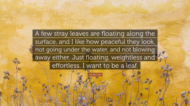 Carian Cole Quote: “A few stray leaves are floating along the surface, and I like how peaceful they look, not going under the water, and not blowing away either. Just floating, weightless and effortless. I want to be a leaf.”
