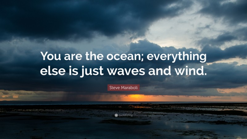 Steve Maraboli Quote: “You are the ocean; everything else is just waves and wind.”
