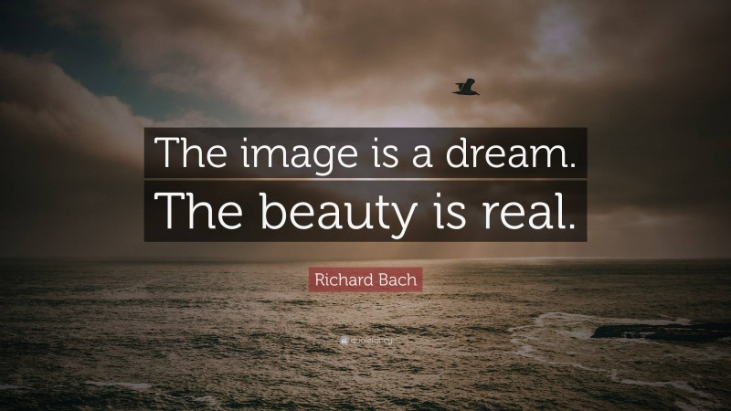 Richard Bach Quote: “The image is a dream. The beauty is real.”