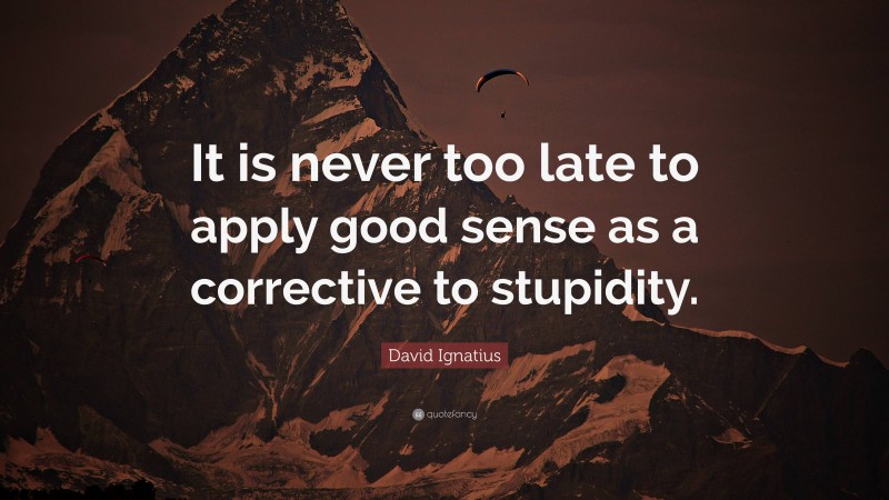 David Ignatius Quote: “It is never too late to apply good sense as a corrective to stupidity.”